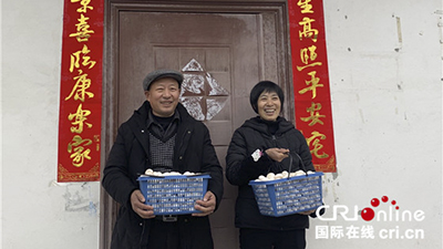 种双孢菇的姚素琼：心里有底气 生活有奔头