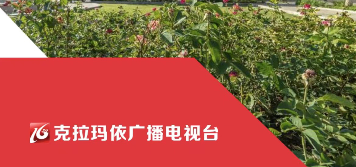 克拉玛依广播电视台社会责任报告（2021年度）