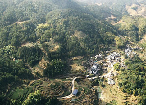 新春走基层丨小山村里的“项目热”