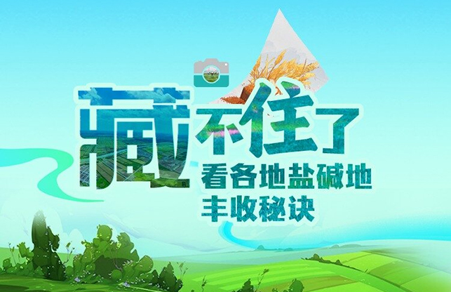 创意满满，这些产品炫酷