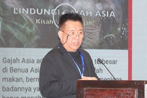 中央广播电视总台 闫东